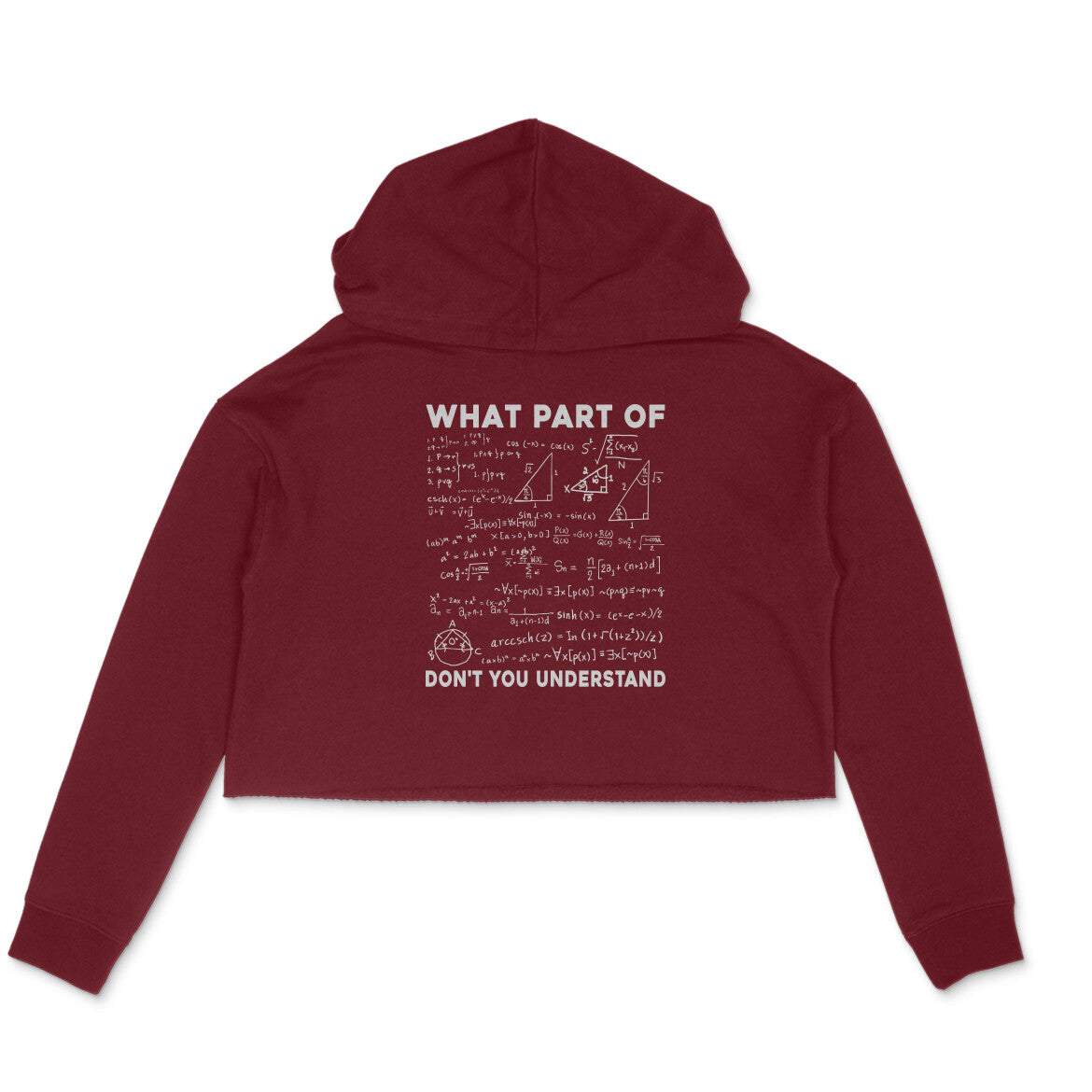 What Part Of Math Crop Hoodie